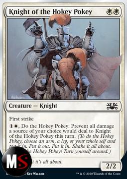 KNIGHT OF THE HOKEY POKEY