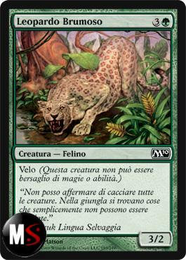 LEOPARDO BRUMOSO