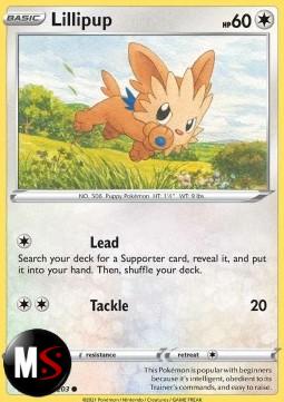 LILLIPUP