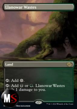 DISTESE DI LLANOWAR FULL ART