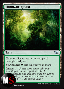 LLANOWAR RINATA