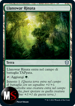 LLANOWAR RINATA