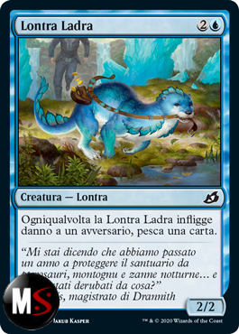 LONTRA LADRA