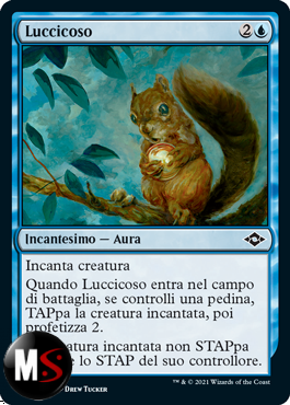 LUCCICOSO