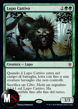 LUPO CATTIVO - FOIL