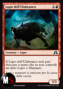 LUPO DELL'ULUBRANCO