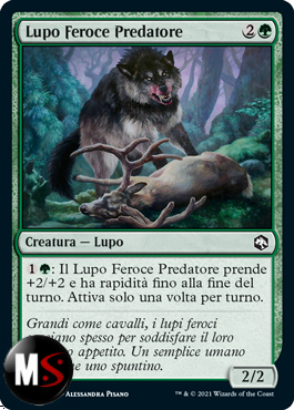 LUPO FEROCE PREDATORE