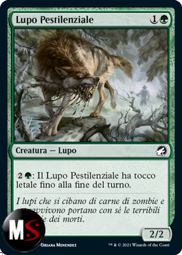 LUPO PESTILENZIALE