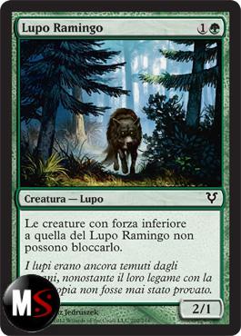 LUPO RAMINGO