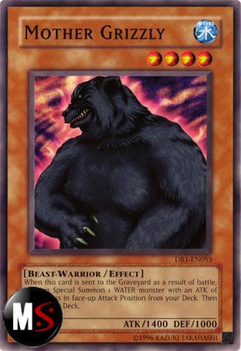 MADRE GRIZZLY