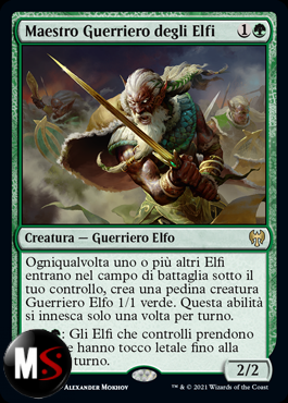 MAESTRO GUERRIERO DEGLI ELFI