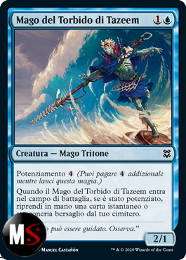 MAGO DEL TORBIDO DI TAZEEM