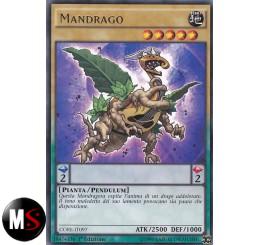 MANDRAGO