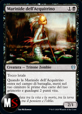 MARINIDE DELL'ACQUITRINO