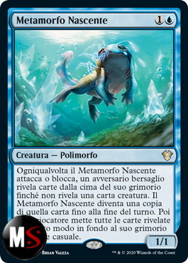 METAMORFO NASCENTE