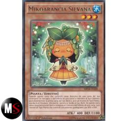 MIKOARANCIA SILVANA