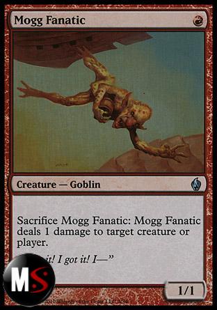 MOGG FANATIC