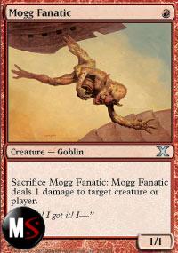 MOGG FANATICO 
