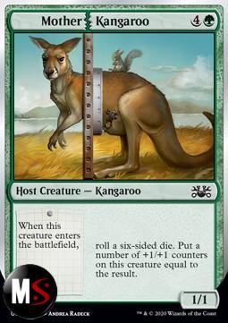 MOTHER KANGAROO