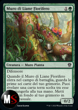 MURO DI LIANE FIORIFERO