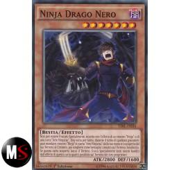 NINJA DRAGO NERO