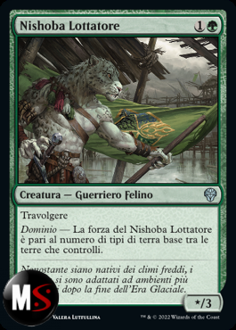 NISHOBA LOTTATORE