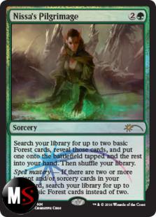 PELLEGRINAGGIO DI NISSA - FNM FOIL