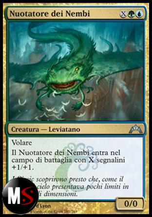 NUOTATORE DEI NEMBI