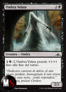 OMBRA VELATA