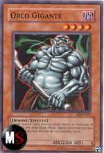 ORCO GIGANTE 