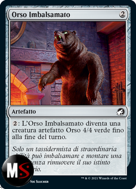 ORSO IMBALSAMATO