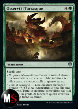 OSSERVI IL TARRASQUE