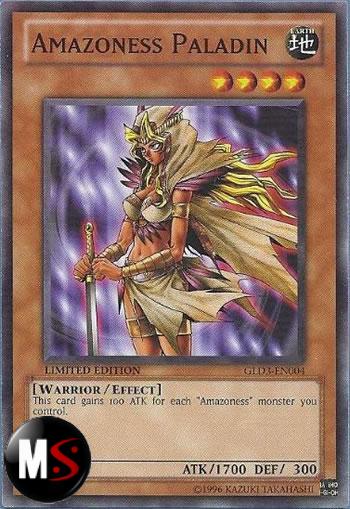 PALADINA AMAZONESS