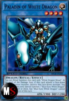 PALADINO DEL DRAGO BIANCO