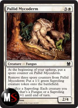 PALLID MYCODERM