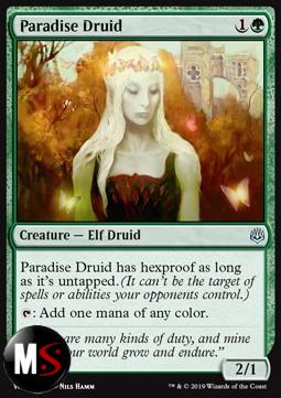 DRUIDA DEL PARADISO - FOIL