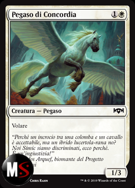 PEGASO DI CONCORDIA