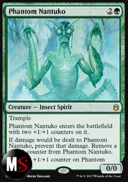 NANTUKO FANTASMA