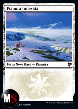 PIANURA INNEVATA V1