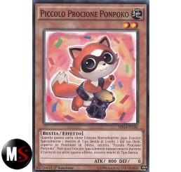 PICCOLO PROCIONE PONPOKO