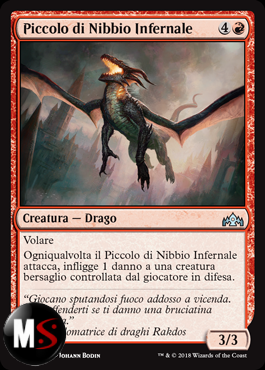 PICCOLO DI NIBBIO INFERNALE