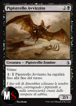 PIPISTRELLO AVVIZZITO