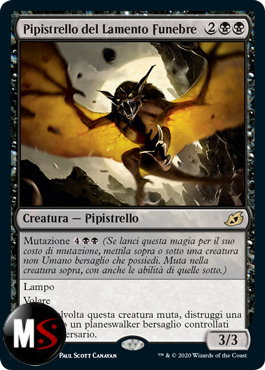 PIPISTRELLO DEL LAMENTO FUNEBRE - PROMO PRERELEASE