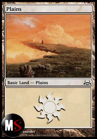 PLAINS