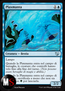 PLAXMANTA