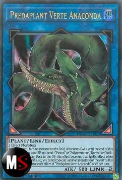 PREDAPIANTA ANACONDA VERTE