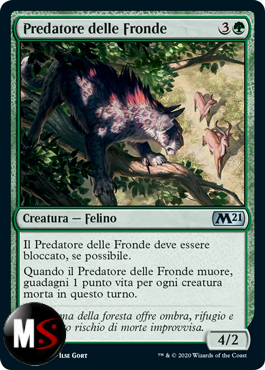 PREDATORE DELLE FRONDE