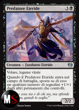 PREDATORE ETERIDE