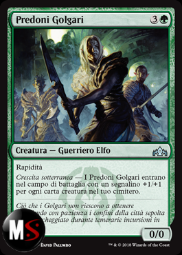 PREDONI GOLGARI