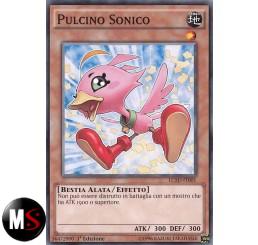 PULCINO SONICO